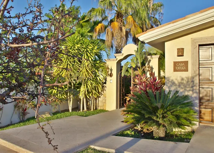 Casa Tortuga