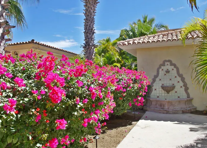Casa Tortuga Ferienhaus Cabo San Lucas